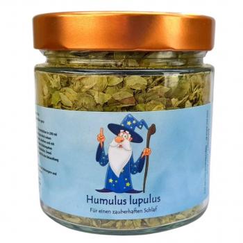 Hopfen | Humulus lupulus